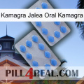 Kamagra Oral Jelly Kamagra 20